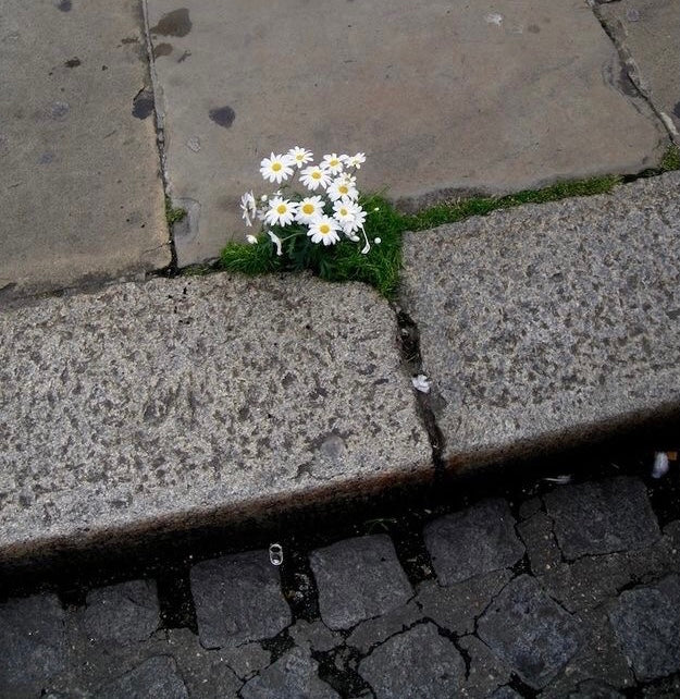 “Θαύματα...”